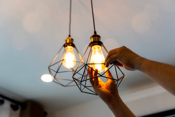 Best Local Electrician Companies  in Oostburg, WI